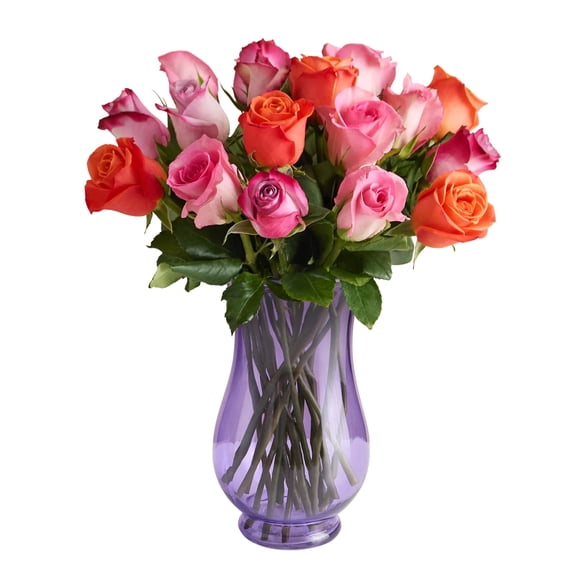 1800 Flowers - 18 Stem Sorbet Roses (Purple Vase Included) - Fresh Flowers for Delivery - Gift for Birthday, Congratulations, Get Well