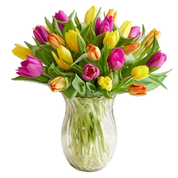 1800 Flowers - Tulip Bouquet: 30 stems of Assorted Tulips with Clear Vase, Decorative