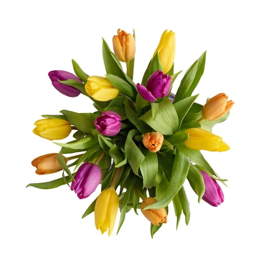 1800 Flowers - Tulip Bouquet Only: 15 stems of Assorted Tulips, Decorative