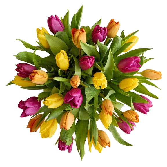 1800 Flowers - Tulip Bouquet Only: 30 stems of Assorted Tulips, Decorative