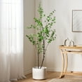 thumbnail image 1 of 180CM ARTIFICIAL DISC LEAF TREE, 1 of 5