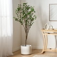thumbnail image 1 of 180CM ARTIFICIAL MILAN LEAF BONSAI, 1 of 9