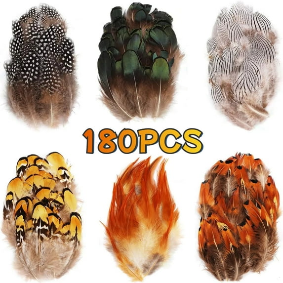 180PCS Assorted Feathers, 6 Styles Natural Chicken Feathers for DIY Crafts Earring Wings Dream Catcher Carnival Party Decoration