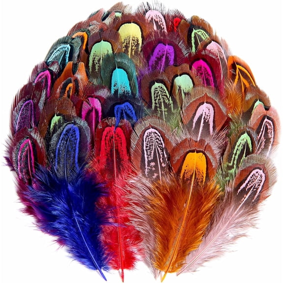 180PCS Colored Feathers 2-3 in, 9 Colors Pheasant Feathers for DIY Crafts Dream Catcher Art Earrings Carnival Costumes Wedding Party Decorations