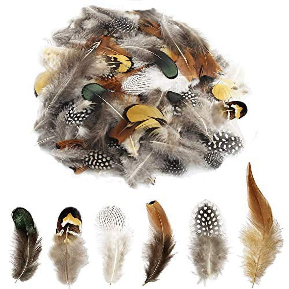 180-Piece Assorted Natural Feathers for Crafts and Decorations