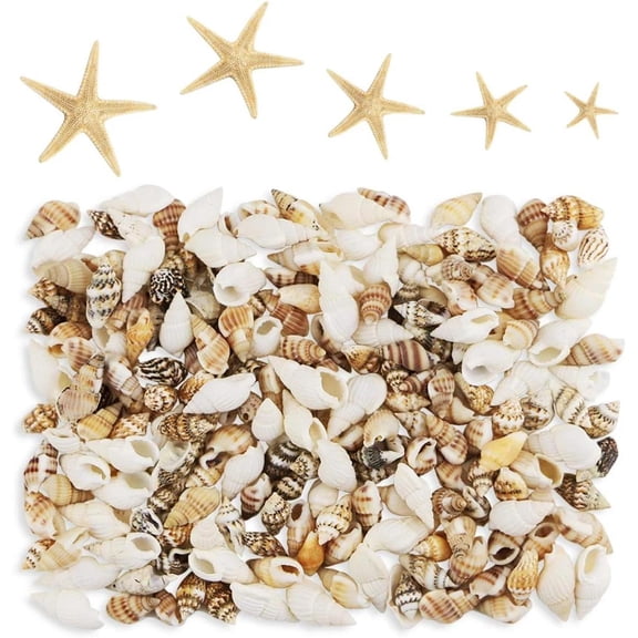 186 Pcs Mini Tiny Sea Shells Mixed Ocean Beach Seashells, Natural Starfish for H