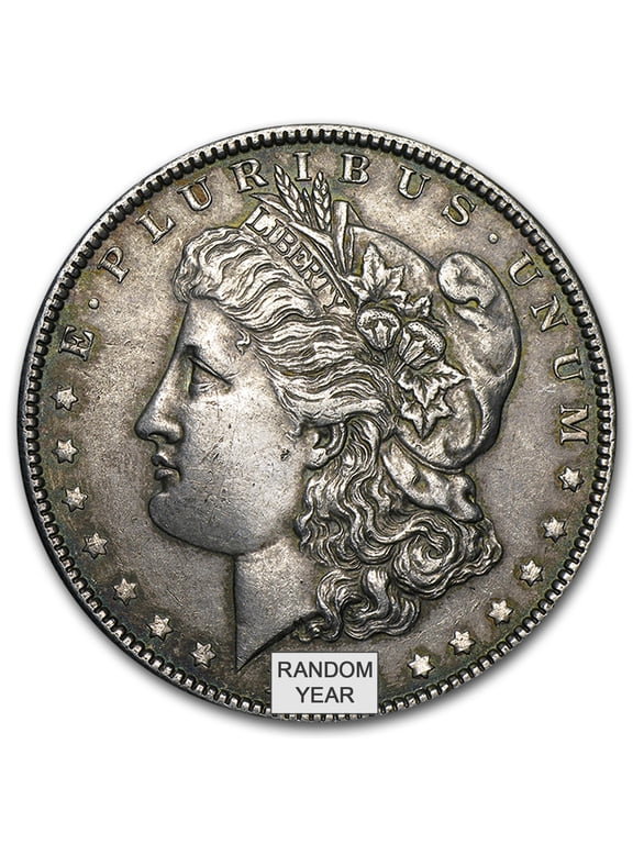 1878-1904 Morgan Silver Dollar XF (Random Year)