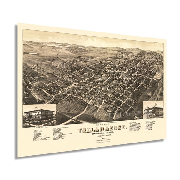 1885 Tallahassee Florida Map Poster - Vintage Map of Tallahassee Poster - Old Tallahassee Map - Historic Tallahassee Wall Art - View of Tallahassee FL Leon County