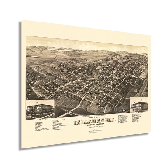 1885 Tallahassee Florida Map Poster - Vintage Map of Tallahassee Poster - Old Tallahassee Map - Historic Tallahassee Wall Art - View of Tallahassee FL Leon County