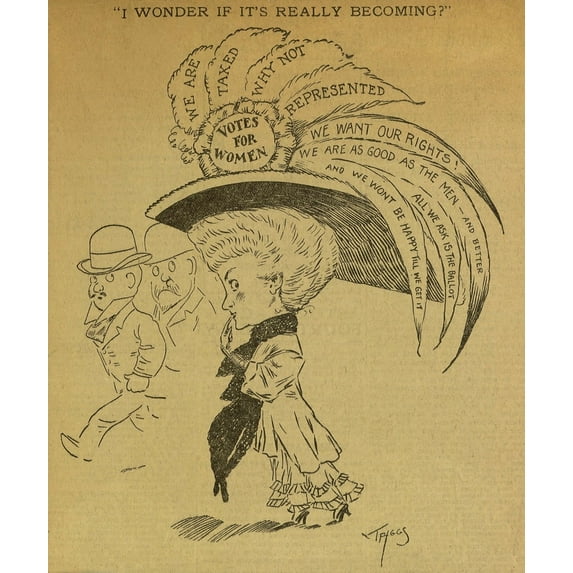 1891 American Political Cartoon Captioned History (24 x 36)