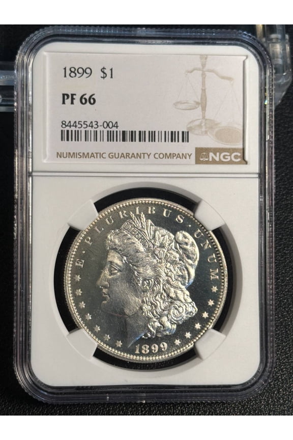1899 Morgan Silver Dollar NGC PF-66 LOOKS CAMEO