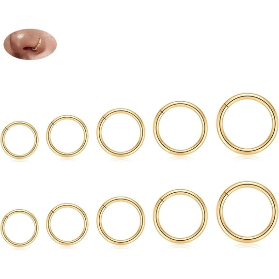 18G Nose Hoop Rings Surgical Steel Hinged Segment Clicker Rings 16G Septum Lip Rings 10 PCS Conch Daith Rook Cartilage Tragus Helix Sleeper Lobe Hoop Earrings Piercing Jewelry for Women 6mm to 16mm