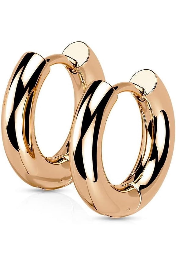 18GA 316L Stainless Steel 3mm Thick Hinged Round Hoop Earrings, Sold as a Pair[f933]