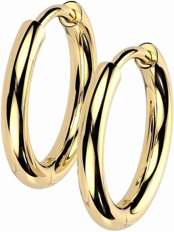 18GA F-136 Implant Grade Titanium 2.5mm Thick Hinged Round Hoop Earrings, Sold as a Pair