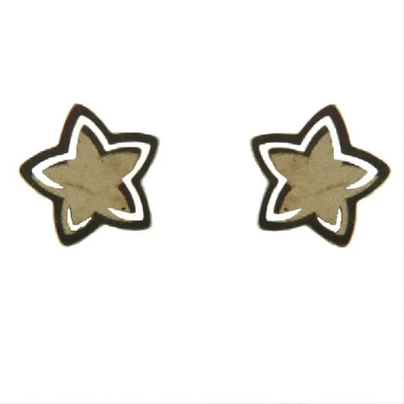 18K Solid Yellow Gold Flat Satin Center Star Covered Screwback Earrings
