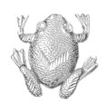 thumbnail image 1 of 18K White Gold Frog Pendant - 33 mm, 1 of 2