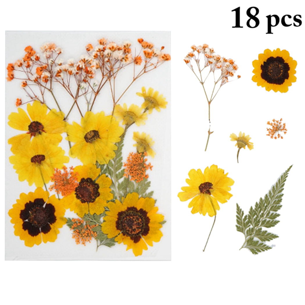 18PCS DIY Dried Flowers Lightweight Dried Sunflowers Pressed Flowers for  Craft 