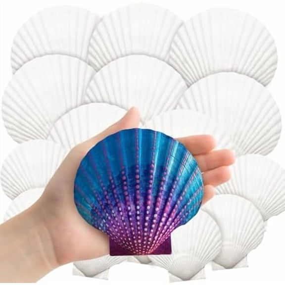 18PCS Large Natural Scallop Shells,2''-3'' 4''-5'' White Seashells Bulk for Crafts DIY Painting Baking and Ocean Summer Beach Wedding Home Decorations(2 Sizes Range)