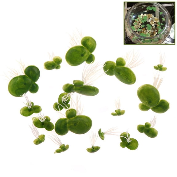18Pcs Artificial Floating Garden Decoration Water Floating Duckwees Pond Deco WA
