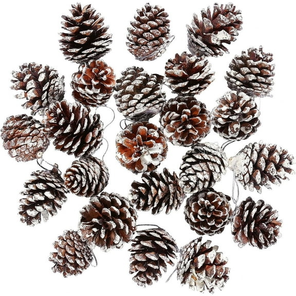 18 Pcs Christmas Natural Pine Cones Bulk Rustic Snow Pinecones with String Pine Cone Pendant Winter Holiday Hanging Ornament for Xmas Tree Decoration, Christmas Decorations,1.6-2 inch