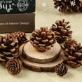 thumbnail image 1 of 18Pcs Natural Pine Cones, 2-2.36 Inch Size for DIY Crafts, Holiday Decorations, Christmas Wreaths, Centerpieces, and Potpourri Arrangements, 1 of 1