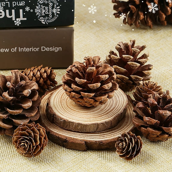 18Pcs Pinecones Decor Natural Rustic Pinecones Ornaments Hanging Decor for Home Party