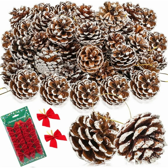 18Pcs Snow Tipped Natural Pine Cones + 24Pcs Red Christmas Bows Decoration,Christmas Pine Cones with String,Wood Frosted Pine Cone Ornaments,for Thanksgiving Fall and Christmas Decoration