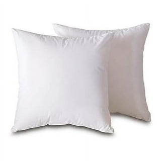 Warmwithann Set of 2, Cotton Fabric Square Pillow Inserts, Down and Feather  Decorative Throw Pillows Inserts. 18x18 Inches