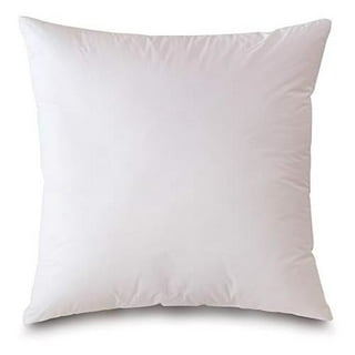 https://i5.walmartimages.com/seo/18X18-Hypoallergenic-Luxury-50-50-Fluffy-Feather-Mix-Square-Pillow-Insert-100-Cotton-Shell-Never-Vacuum-Packed-Odorless-Made-In_62805c29-e40d-4936-9034-7e015e60d797.7b260166d36f4347f358a19cb6436efc.jpeg?odnHeight=320&odnWidth=320&odnBg=FFFFFF