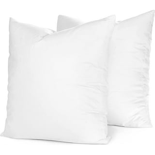 https://i5.walmartimages.com/seo/18X18-Set-Of-2-White-Goose-Down-And-Feather-Fill-50-50-Decorative-Throw-Pillow-Insert-Square-Designer-Pillows-Fluffy-Euro-Cushion-For-Bed-Couch-Made_b0ecde0e-ec51-4bbb-b0a4-ee561983bd91.f2cadc0c794821d63bfb6b99bc958d64.jpeg?odnHeight=320&odnWidth=320&odnBg=FFFFFF