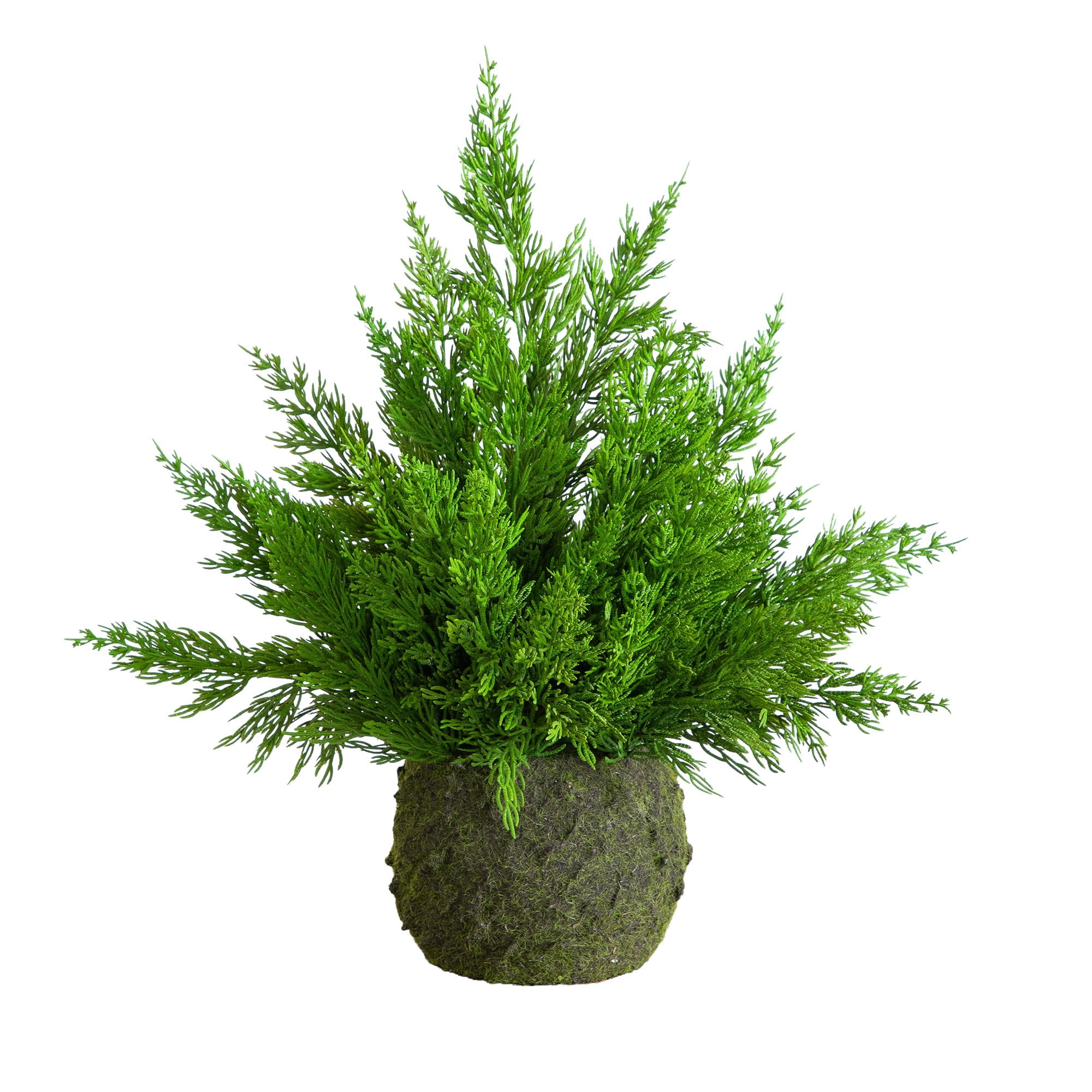 18in. Artificial Real Touch Winter Cypress Bush in Moss Planter
