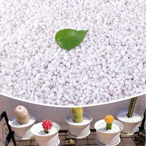 18lb 1 4 Small White Rocks For PlantsPotting Succulents Aquarium Fish Tank Garden Vases Decorative Pebbles Gravel Rocks Stones