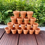 plants to put in a terrarium Mini Terrarium Plants (6 Plants) (2" Pots) Assorted Varieties  Optiflora