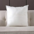 thumbnail image 1 of 18x18 Pillow inserts Pillows Decorative Pillows Decorative Throw Pillows Couch Throw Pillows Throw Pillows Square Couch Pillows Sofa Pillows, 1 of 6