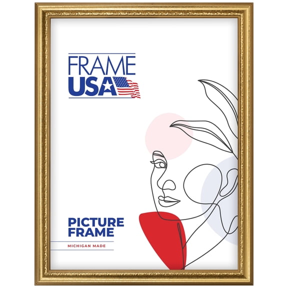 18x24 Picture Frame  Gold American Value 795 Style 12382-1081-138, 1.5 Inch Wood Moulding, Includes Plexiglass and Backing Wall Display Frame for Art, Posters, or Photos  Frame USA