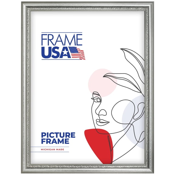 18x24 Picture Frame Silver American Value 795 Style 12382-2414-138, 1.5 Inch Wood Moulding, Includes Plexiglass and Backing Wall Display Frame for Art, Posters, or Photos Frame USA