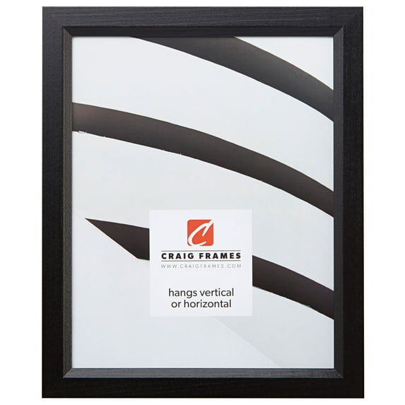 18x36 Wood Wall Mounted Frames, Ebony Black