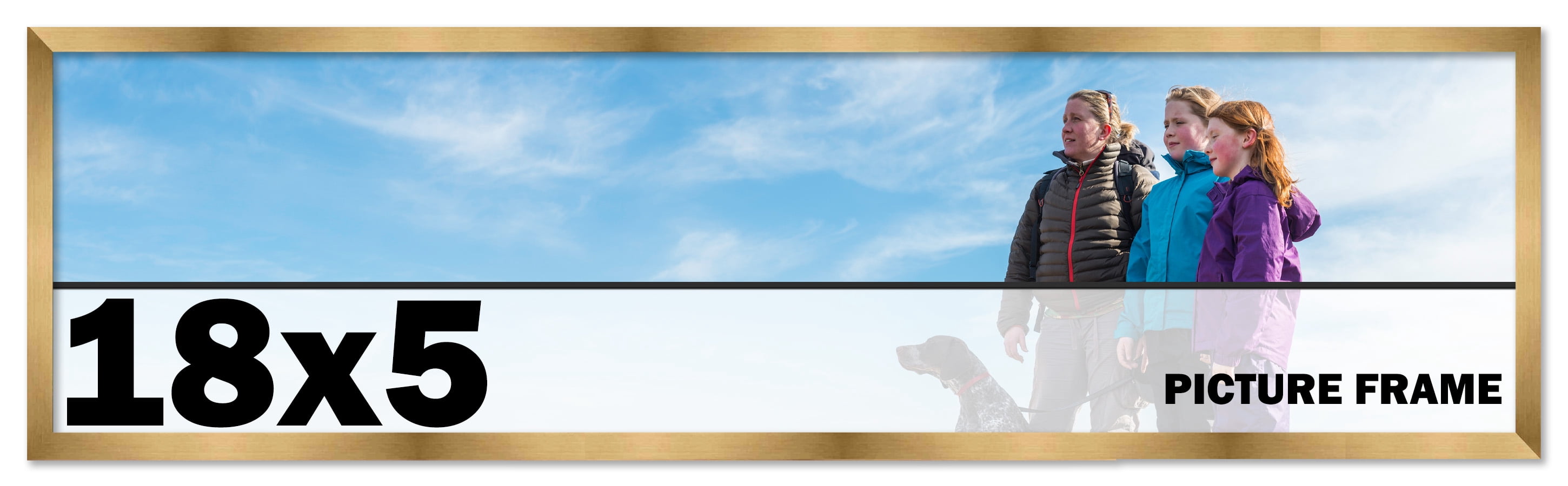 18x5 Frame Gold Bronze Modern Solid Wood Picture Frame | 0.75 Inch ...