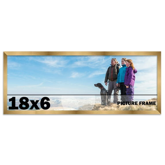 18x6 Frame Gold Bronze Modern Solid Wood Picture Frame | 0.75 Inch Moulding Width | Includes UV