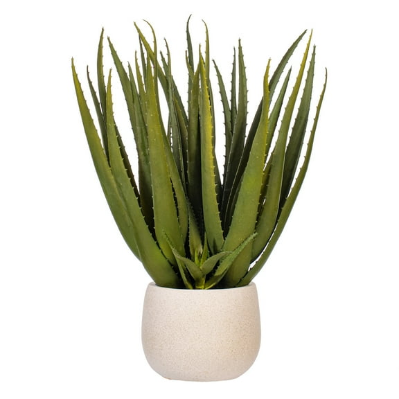 19.5" Green Aloe Plant in Cement Pot