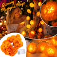 thumbnail image 1 of 19.7 Ft Marigold LED String Lights, Battery Operated Waterproof Decorative Lights for Halloween Day of Dead Party, Mexico Flower for Home Garden Patio Indoor Outdoor, 40 Lights, 1 of 4