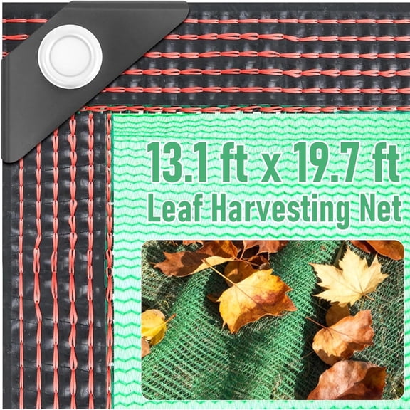 19.7 x 13.1 ft Fruits Harvest Collecting Net, Under Tree Fruit Catcher Net