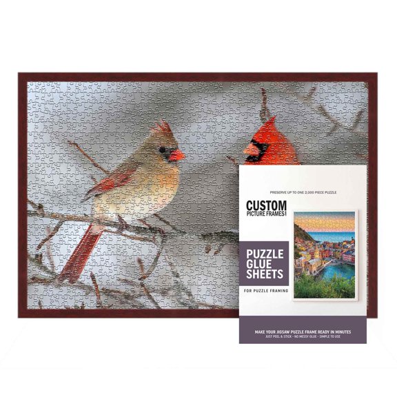 19.75x26.75 Dark Brown Real Wood Picture Frame Width 0.75 inches | Interior Frame Depth 0.5 inches