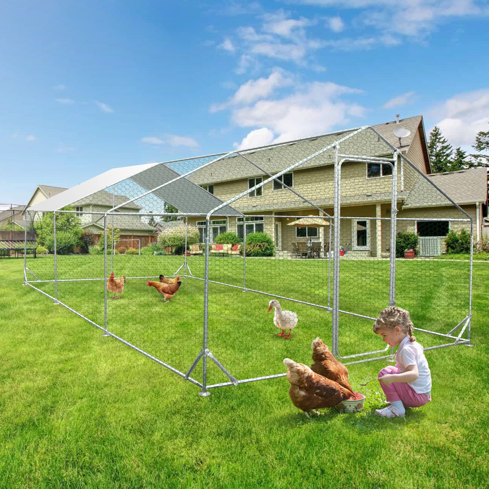 19 7x 9 84 Ft Extra Large Chicken Coops Metal Chicken Walkin Poultry 19-7x-9-84-ft-extra-large-chicken-coops-metal-chicken-walkin-poultry