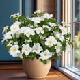 thumbnail image 1 of 19 Inch Artificial Fake Flowers for Outdoor,4 Pcs Faux Silk Petunias Spring Flowers for Outside for Indoor Porch Planter Front Door Garden Patio Window Box Home Decor(Multiple Color), 1 of 10