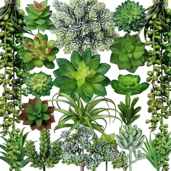 19 Pcs Assorted Artificial Succulents Plants Unpotted Small Green Aloe Hops Cactus String of Pearls Picks Fake Bulk for Succulent Garden Floral Arrangement Indoor Outdoor Home Decor