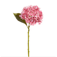 thumbnail image 1 of 19" Real Touch Pink Hydrangea Stem, 1 of 1