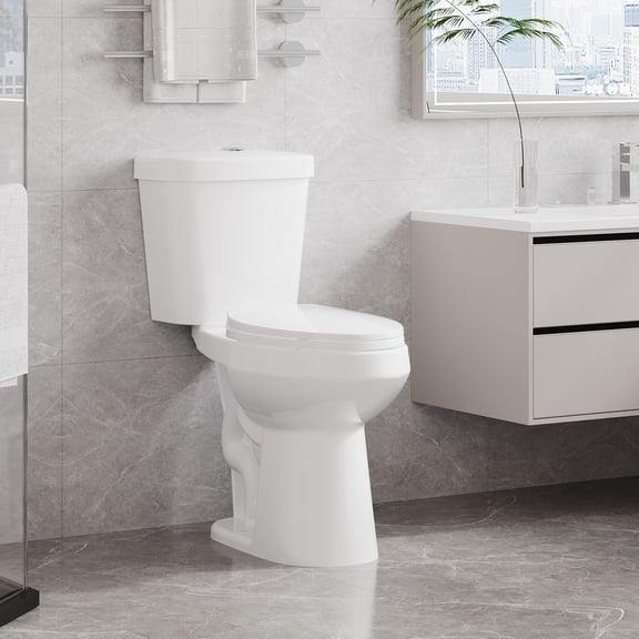 19" Tall Toilet, Two-Piece Elongated Toilet with ADA Comfort Chair Height Seat, Powerful Dual Flush, 12" Rough In High Bowl for Seniors, White