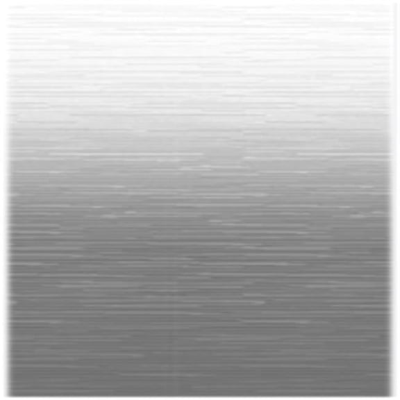 19 ft. 2 in. Silver Shale Fade White Weatherguard