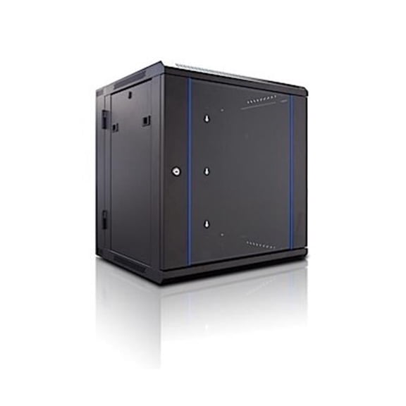 19 in. Wall Mounted Rack Enclosure with Hinged Back Door - Black - 12 units